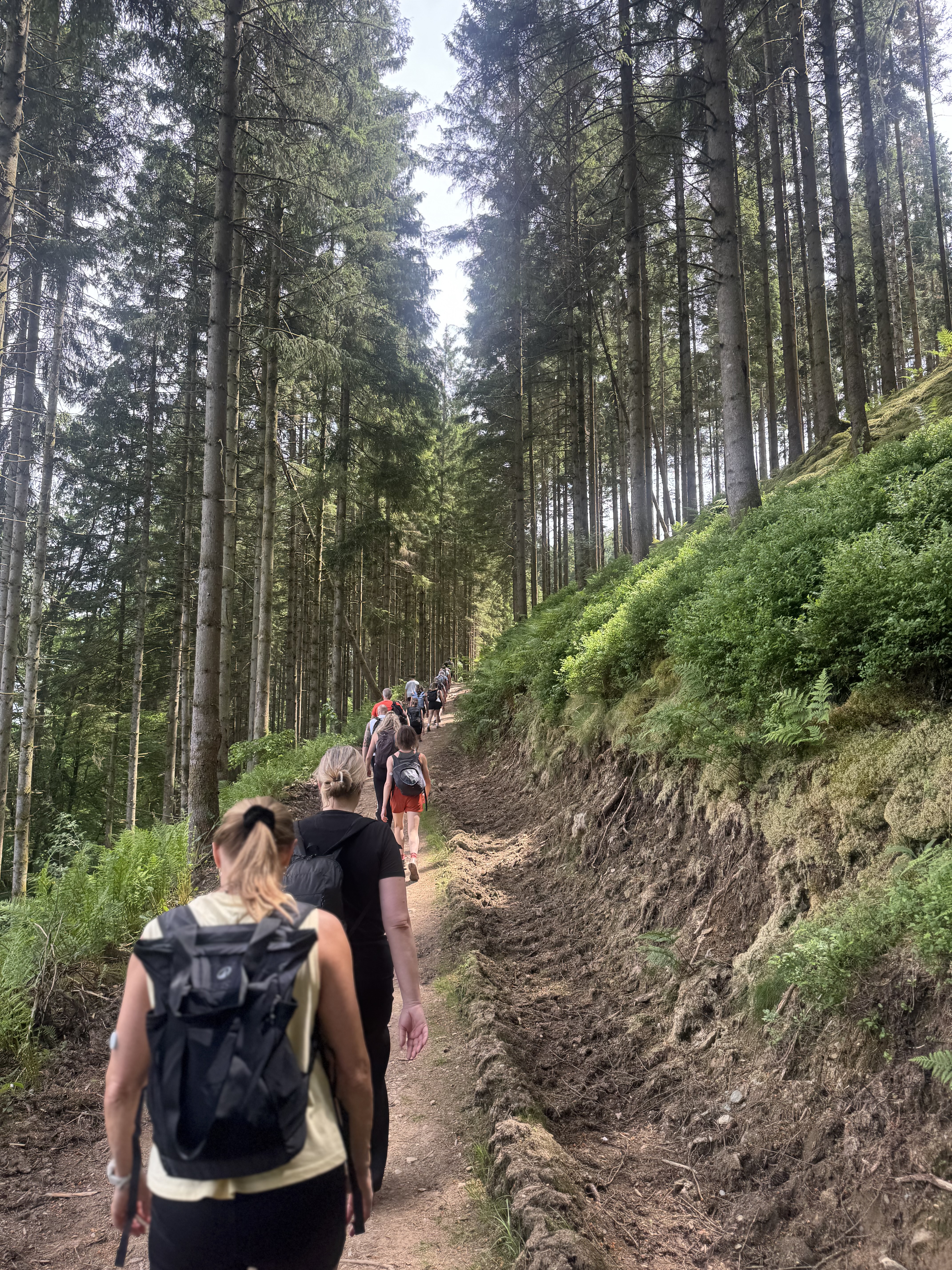 Energie en veerkracht — LeefSterk training buiten